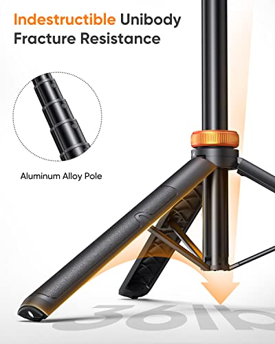 Mobile Phone Stand Tripod Live Broadcast Stand